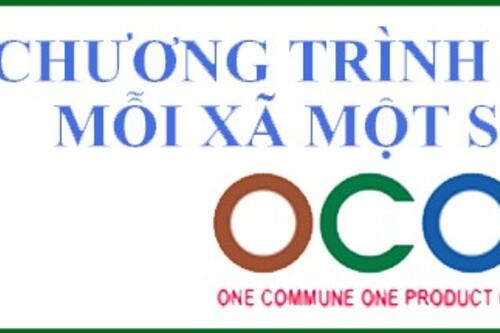 Phó Thủ tướng Vương Đình Huệ: “Sẽ có khoảng 15.000 tỷ đồng cho chương trình OCOP”
