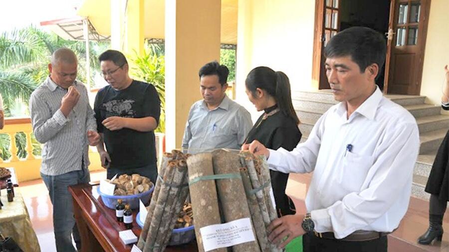 Yên Bái: OCOP tạo nhiều sản phẩm đặc trưng
