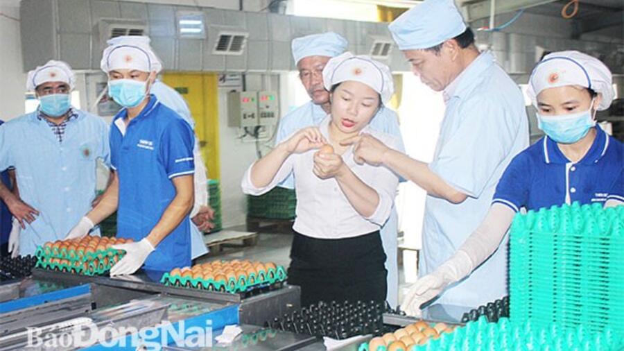 Chương trình OCOP: Sức bật phát triển sản xuất