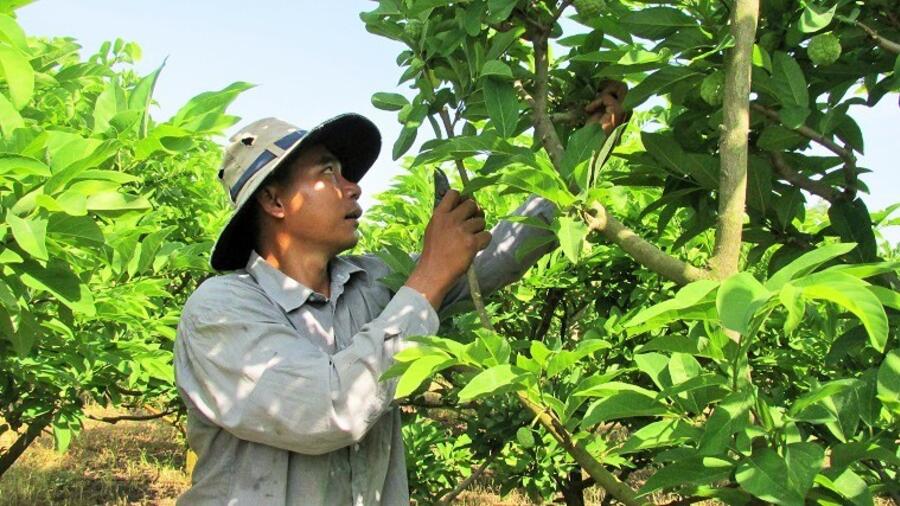 Hơn 100 sản phẩm đủ điều kiện tham gia Chương trình OCOP