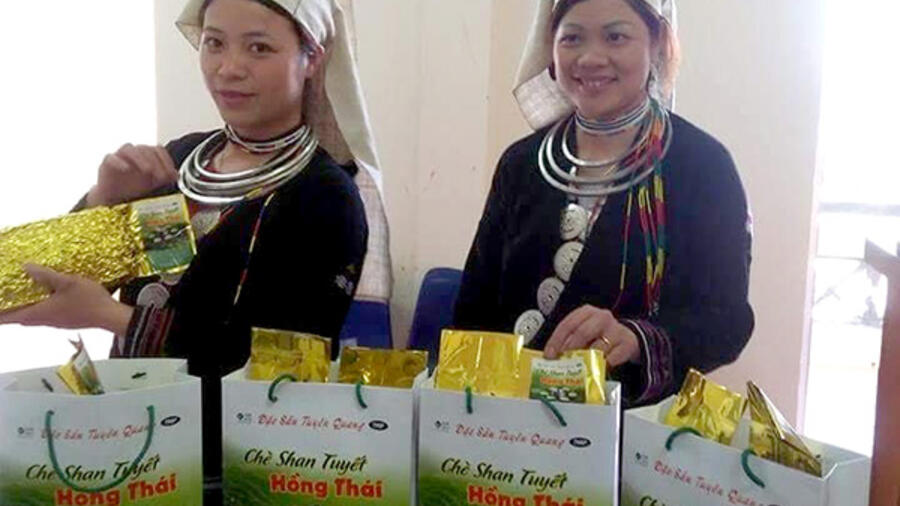 Tuyên Quang có 17 sản phẩm đạt 4 sao OCOP