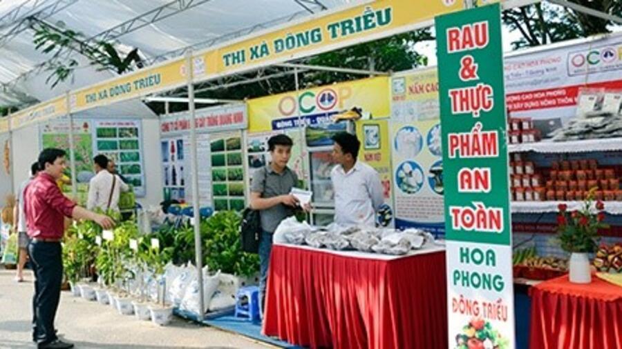 250 mặt hàng nông sản tham gia OCOP Hạ Long