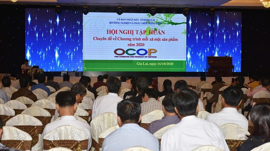 Gia Lai: Hội nghị chuyên đề về Chương trình OCOP