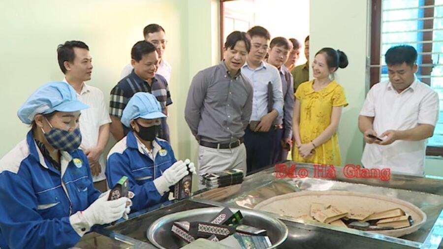 Hội đồng OCOP Quốc gia làm việc tại HTX chế biến chè Phìn Hồ