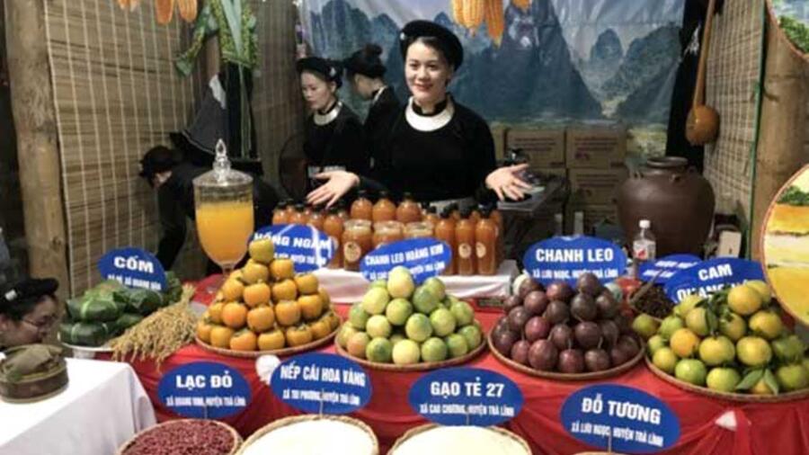 Tiến độ triển khai Chương trình Mỗi xã một sản phẩm ở tỉnh Cao Bằng