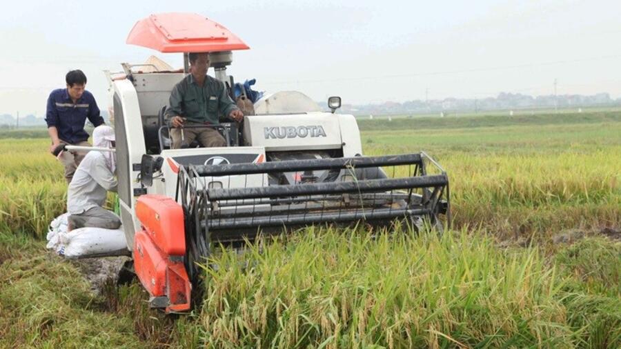 Khó khăn trong thực hiện Chương trình OCOP