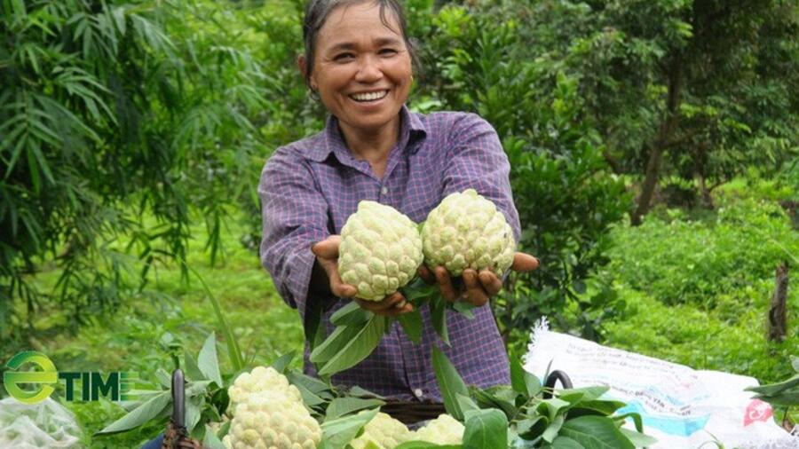 12 sản phẩm nông nghiệp nhận sao OCOP tỉnh Lạng Sơn