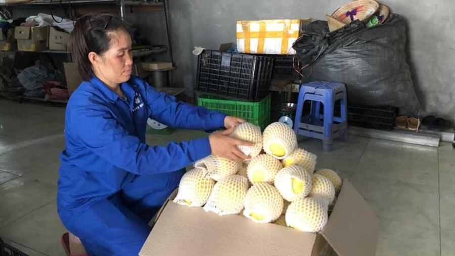 Đẩy nhanh tiến độ thực hiện Chương trình OCOP