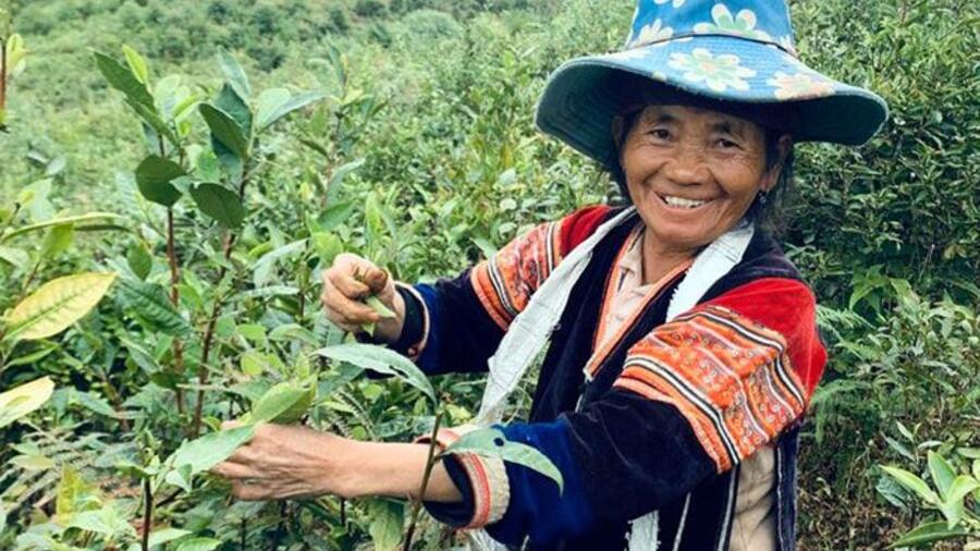 Chương trình mỗi xã một sản phẩm: Cách làm từ Điện Biên