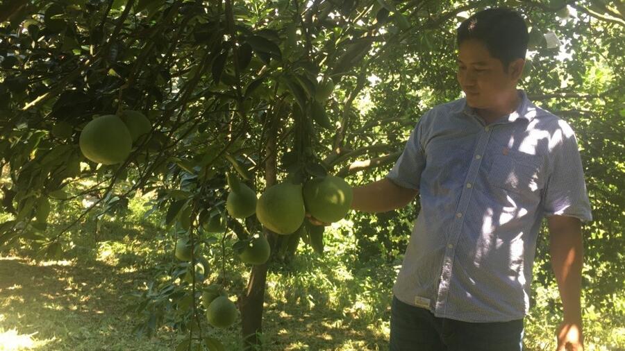 Chương trình mỗi xã một sản phẩm - OCOP: Thúc đẩy kinh tế nông thôn phát triển
