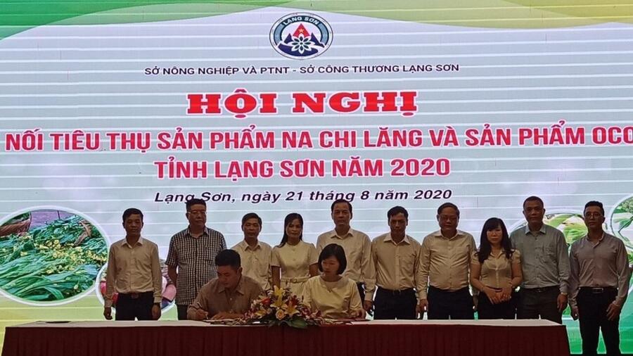 Lạng Sơn: OCOP 'cất cánh' từ nông sản đặc sản