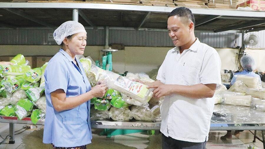 Triển khai thực hiện Chương trình Mỗi xã một sản phẩm (OCOP) năm 2020