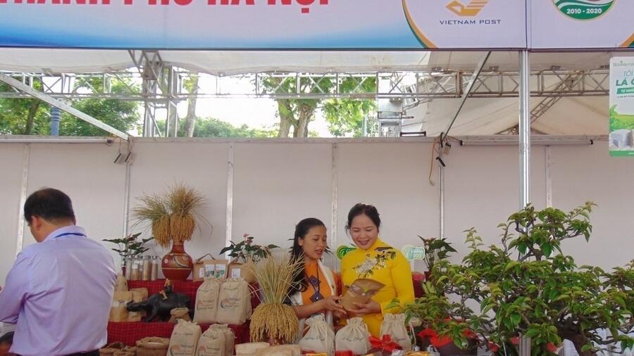Chương trình OCOP ở TP. Hà Nội: Nhiều tiềm năng và động lực để phát triển