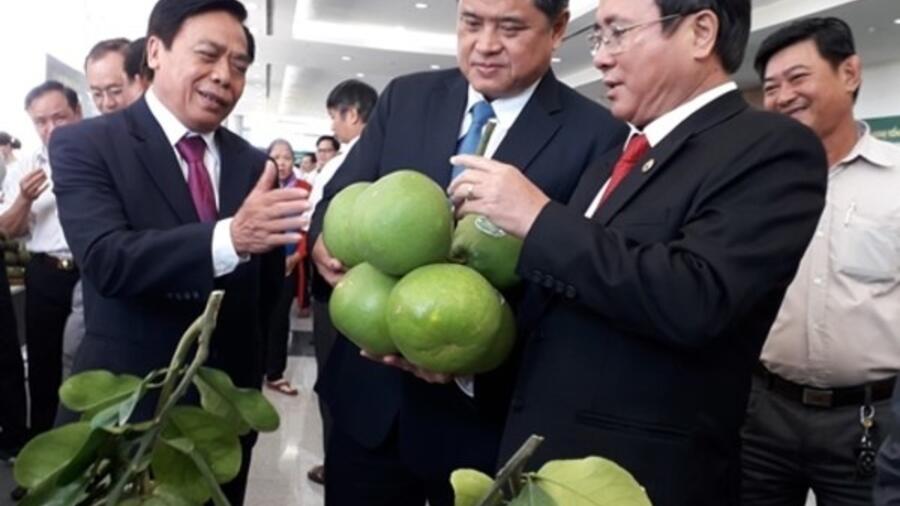 Bình Dương: Triển khai đồng bộ OCOP để hình thành những vùng hàng hóa lớn