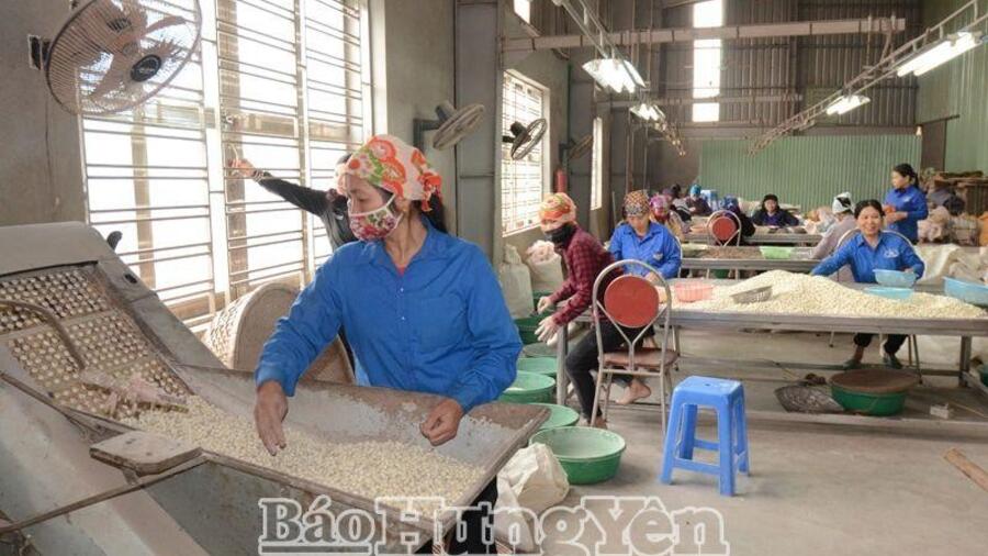 Thành phố Hưng Yên có 7 sản phẩm đạt sao OCOP