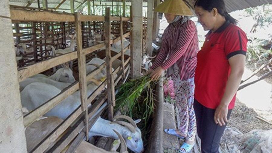 Tích cực thực hiện Chương trình OCOP
