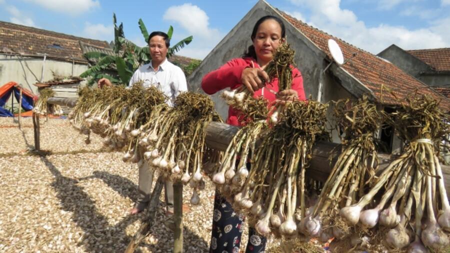 Để OCOP nâng tầm nông thôn mới