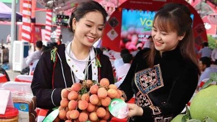 Bắc Giang: Một năm nhìn lại quá trình thực hiện đề án Chương trình OCOP