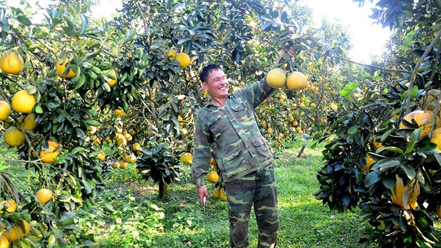 Đánh giá đúng, xếp hạng chuẩn sản phẩm OCOP